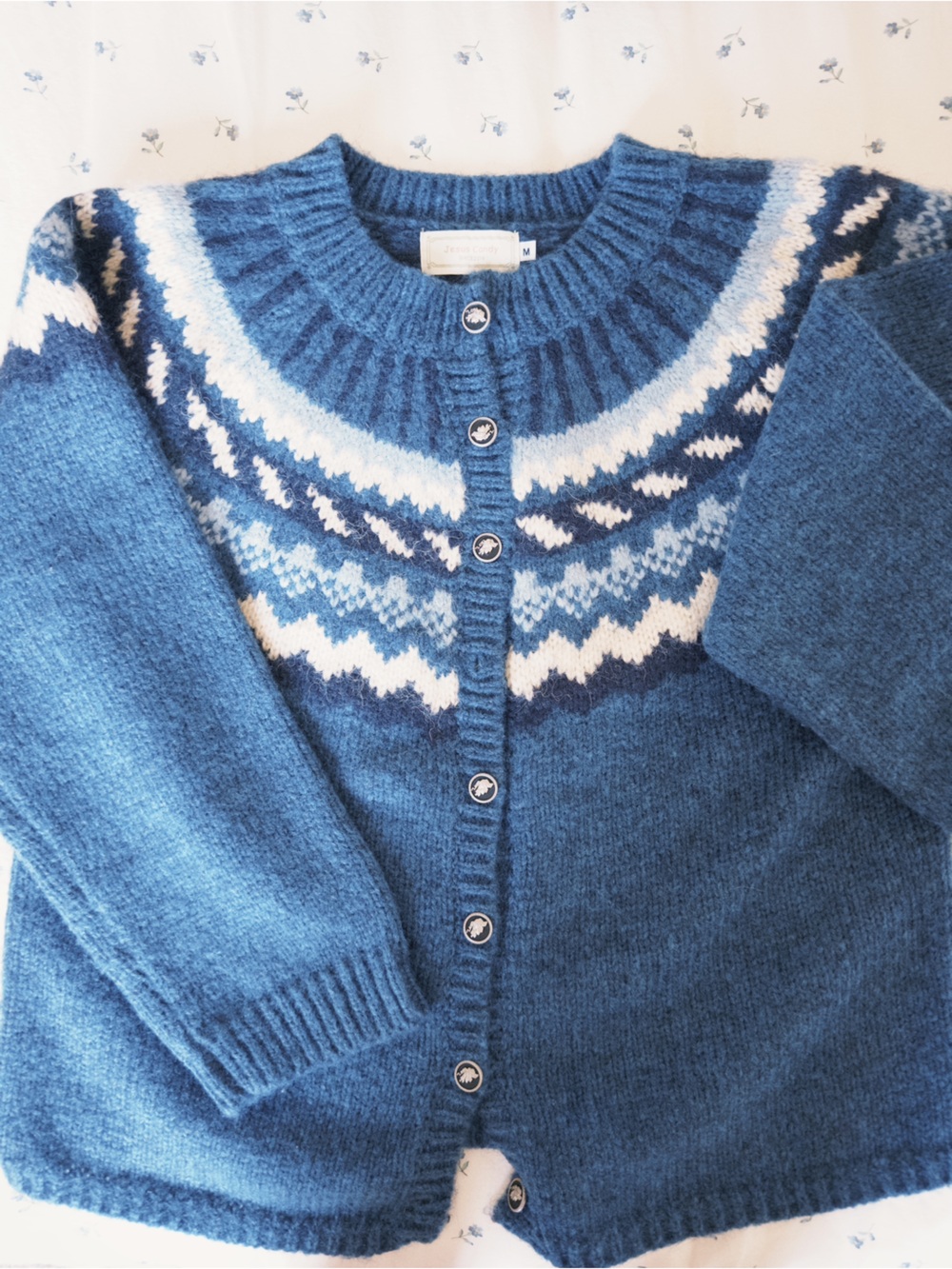 Blue Patterned Fair Isle Women’s Oversized Cardigan Sweater